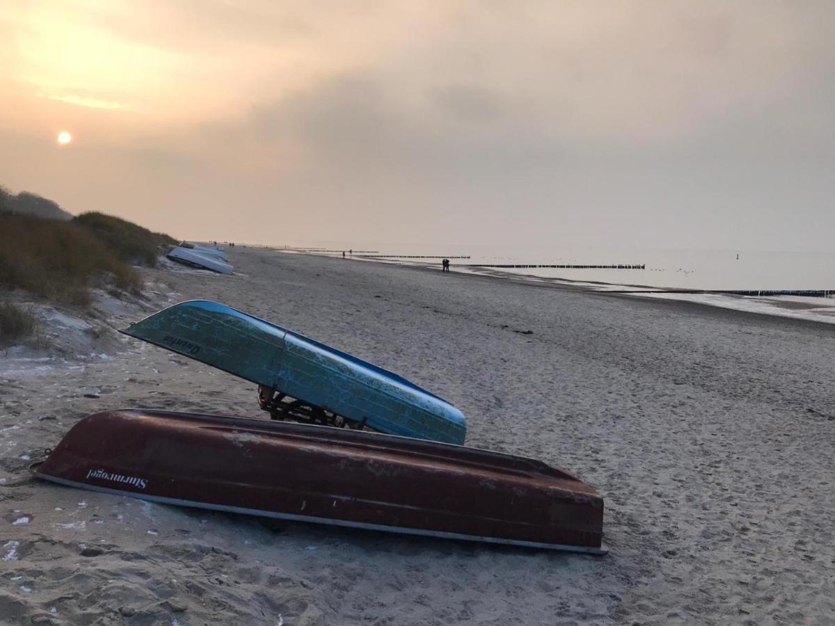 Ferienhaeuschen Moewenschiss, 500M Zum Strand غرال موريتز المظهر الخارجي الصورة